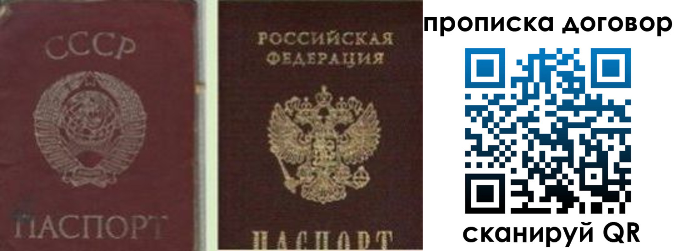 прописка гарантия в Гаврилов-Яме